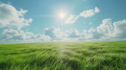 Fototapeta na wymiar A serene scene with a white cloud bank, a blue sky, green grass, and a bright sun - it looks like heaven on earth