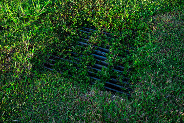 storm drain on a moss field - obrazy, fototapety, plakaty