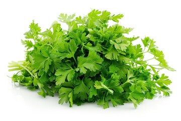 Obraz premium A bunch of fresh green parsley is piled on a white background. The parsley is fresh and green, and ready to be used in a recipe