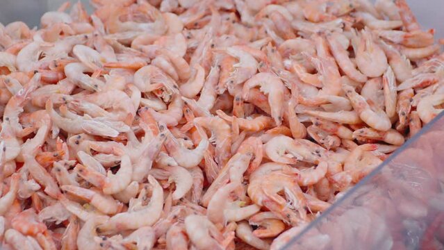 Mass Sorting of Frozen Shrimp at Seafood Processing Plant. Selective focus