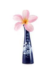 single frangipani flower in classic chinese vase isolated on transparent