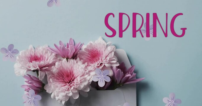Animation of spring text and stars over bunch of flowers