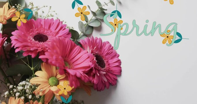 Animation of spring text and stars over bunch of flowers