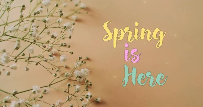 Animation of spring is here text and stars over white flowers