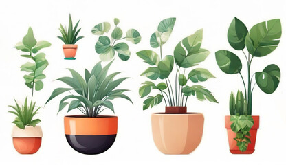 House plants in pots isolated on white background. Vector cartoon illustration.