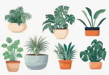 Obraz premium House plants in pots on a white background. Vector illustration in flat style.