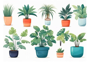 Houseplants in pots isolated on white background. Vector illustration.