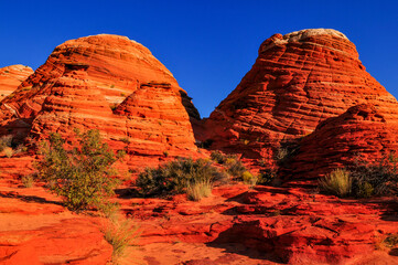 Early morning on the sandstone landscape close to The Wave, Coyote Buttes North, Vermilion Cliffs...
