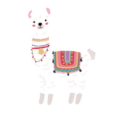 Cute Llama alpaca