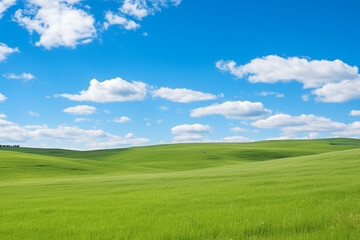 Beautiful grassy fields and summer blue sky with fluffy white clouds in the wind. Wide format