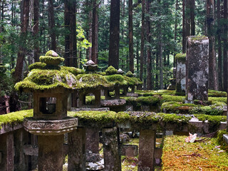 Zen Contemplation: Temple and Cemetery Beauty of Koyasan, Wakayama, Japan
