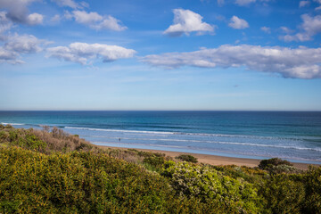 Fototapeta premium Pristine Sands and Azure Waters of Great Ocean Road Beach