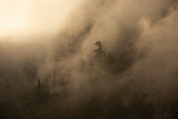 Foggy sunset view of Mt. Lowe on the Eaton Saddle Trail in the San Gabriel Mountains of Mount Wilson, California, USA.