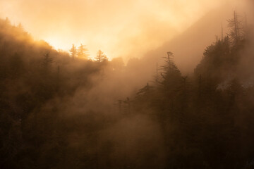 Foggy sunset view of Mt. Lowe on the Eaton Saddle Trail in the San Gabriel Mountains of Mount Wilson, California, USA.