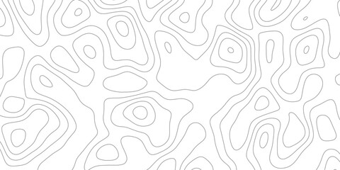 White curved lines horizontal lines has a shiny plate with reflections vector design.tech diagonal.earth map strokes on topology,shiny hair clean modern.
 - obrazy, fototapety, plakaty