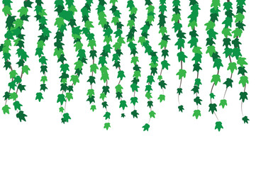 Green Ivy Background. Nature plants and flowers concept vector.