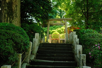 Obraz premium 풍경