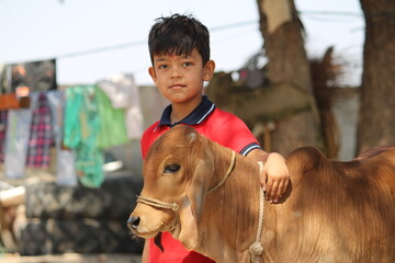 "Rural Boy with Young Calf in Indian Village Setting,"Young Farmer Bonding with Calf in Rustic Environment