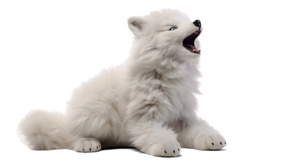  A fuzzy wolf stuffed toy howling at the moon on a solid white background