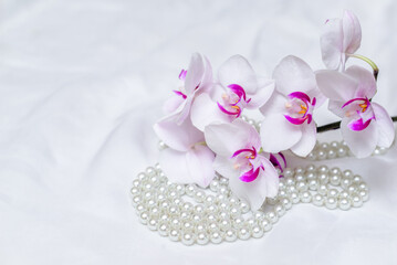 Obraz na płótnie Canvas The branch of purple orchids on white fabric background 