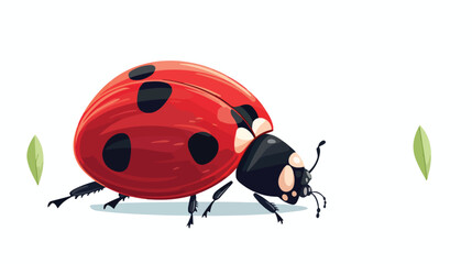 Ladybird. Flat vector illustration isolated on white background.