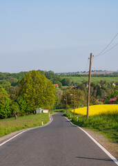 Fototapeta na wymiar Countryside landscape. A narrow asphalt road among green fields and blooming yellow rapeseed meadows. Small cozy houses. Germany, Saxony
