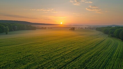 A serene landscape at sunrise, captured from a drones perspective