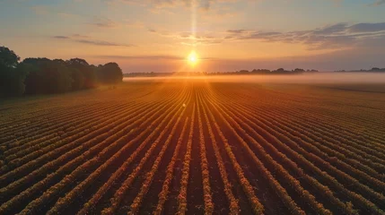Keuken spatwand met foto A serene landscape at sunrise, captured from a drones perspective © MAY