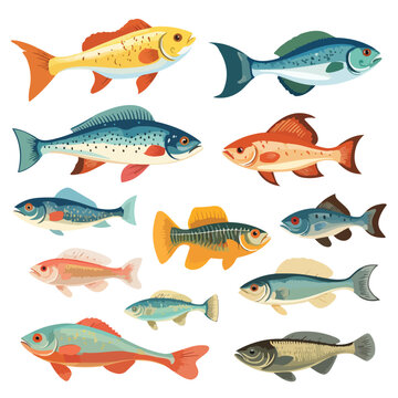 A collection of different types of fish. Vector clipart.