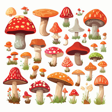 A collection of different types of mushrooms. Vector clipart.