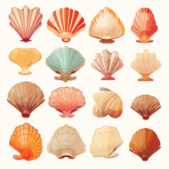 Fototapeta na wymiar A collection of different types of shells. Vector.
