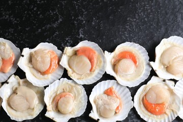 Fresh raw scallops with shells on black textured table, flat lay. Space for text
