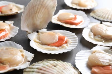 Fresh raw scallops with shells on grey table, closeup