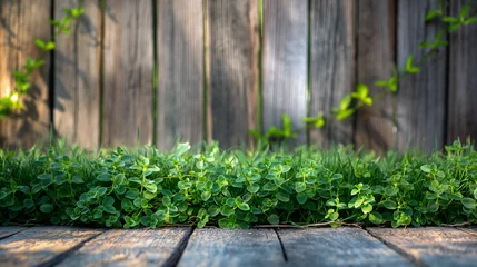Papier Peint photo autocollant Herbe Fresh spring green grass and leaf plant over wood fence background.