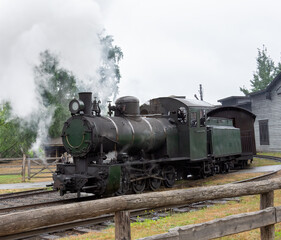 Fototapeta na wymiar steam train in the forest