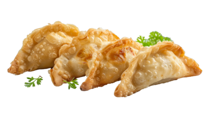 Fried dumplings on isolated on transparent png background. Generative ai