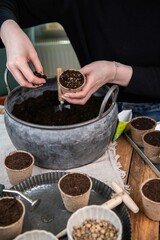 Aussaat im Torftopf, Topf mit Erde füllen, Gemüse selber anpflanzen