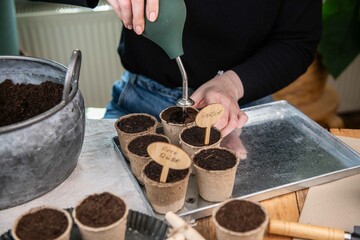 Aussaat im Torftopf, Topf mit Erde füllen, Gemüse selber anpflanzen