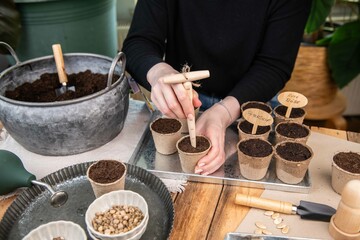 Aussaat im Torftopf, Topf mit Erde füllen, Gemüse selber anpflanzen