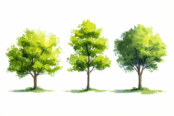 Drawing of green trees on a white background.