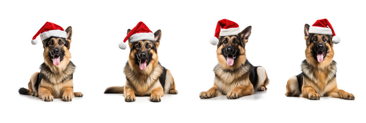 group of dogs wearing santa claus hats