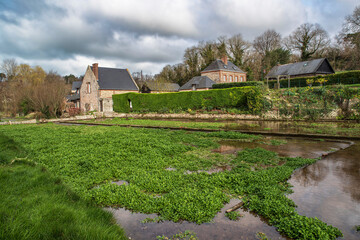 Fototapeta na wymiar Watercress in Veules-les-Roses with an old water mill in Normandy, France
