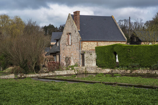 Watercress in Veules-les-Roses with an old water mill in Normandy, France