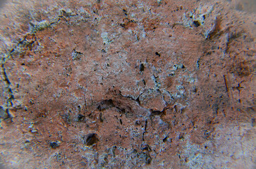 rusty metal background