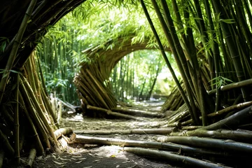 Fotobehang Sections of bamboo habitat in the forest  © xadartstudio