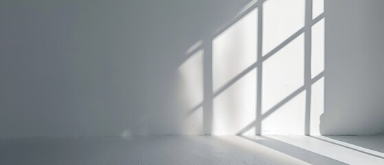 Sunlight Casting Shadows on a White Wall