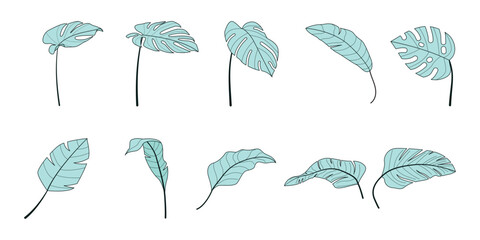 Obraz premium Tropical Leaves Bright