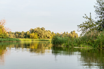 Fototapeta na wymiar Nature and lake. Natural landscape with trees and lake. Passage from lake to lake.