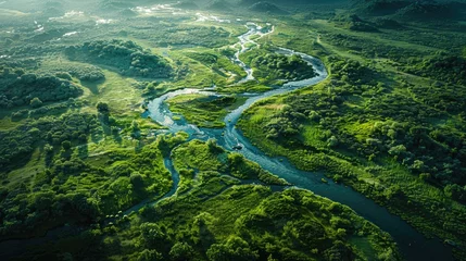 Fotobehang aerial view river delta with lush green vegetation © muhamad