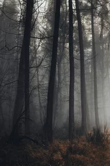 Papier Peint photo Visage de femme fog in the forest